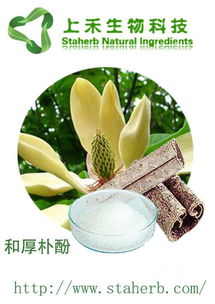 植物提取物出口產(chǎn)品top10