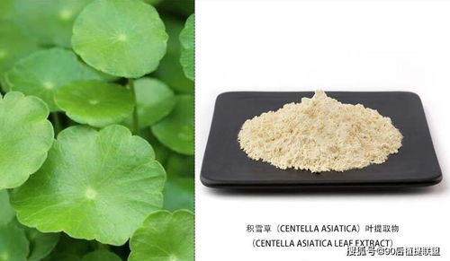 2020 最新植物提取物 化妝品原料 前沿?zé)狳c(diǎn)點(diǎn)評(píng)