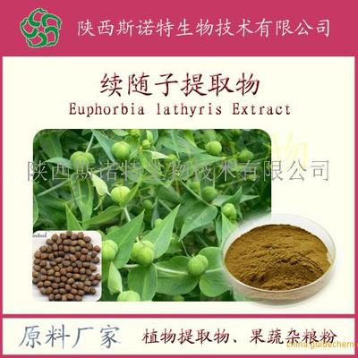 續(xù)隨子提取物的植物特性及其應(yīng)用價(jià)值