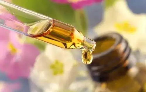 拒絕皮膚干燥飄雪，養(yǎng)生堂白樺樹汁身體乳要你好看